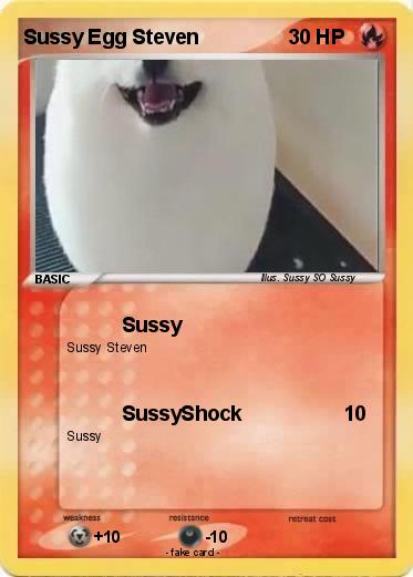 Pokemon Sussy Egg Steven