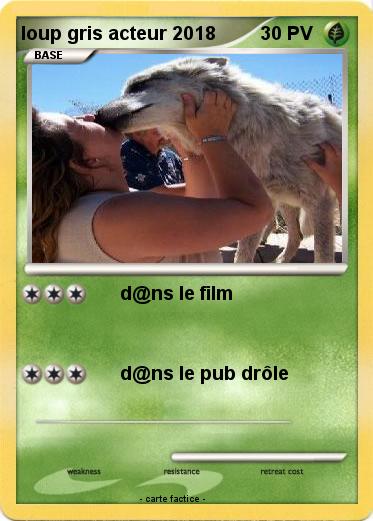 Pokemon loup gris acteur 2018