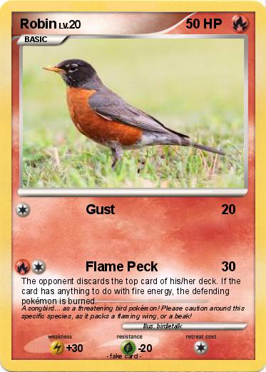 Pokemon Robin