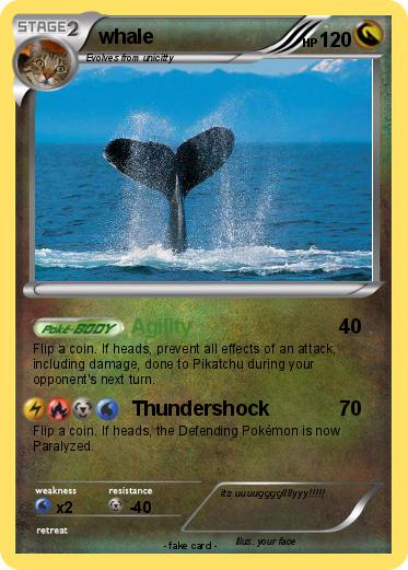Pokemon whale