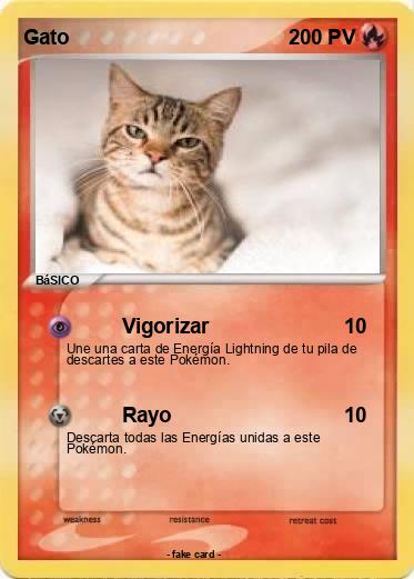 Pokemon Gato