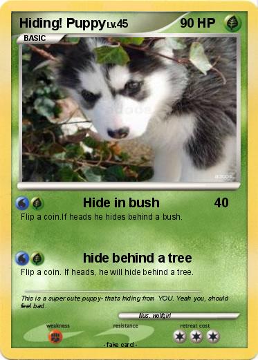 Pokemon Hiding! Puppy