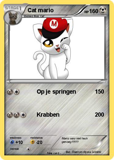 Pokemon Cat mario