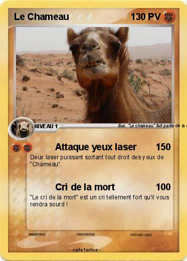 Pokemon Le Chameau