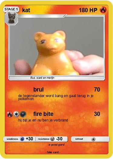 Pokemon kat