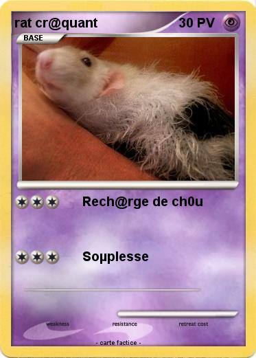 Pokemon rat cr@quant