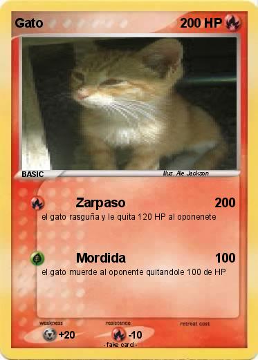 Pokemon Gato