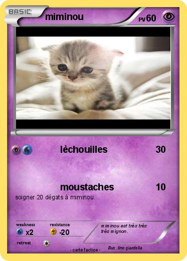 Pokemon miminou