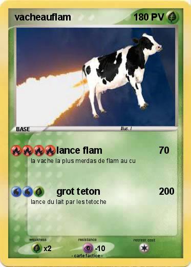Pokemon vacheauflam