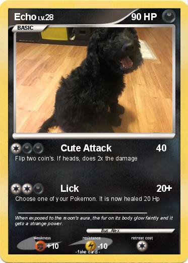 Pokemon Echo