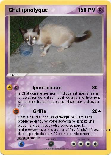 Pokemon Chat ipnotyque