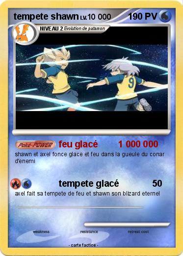 Pokemon tempete shawn