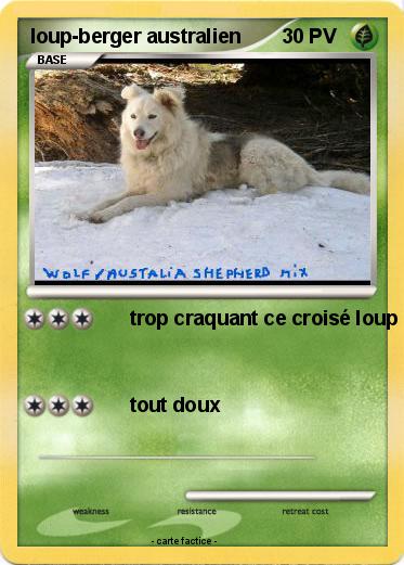Pokemon loup-berger australien