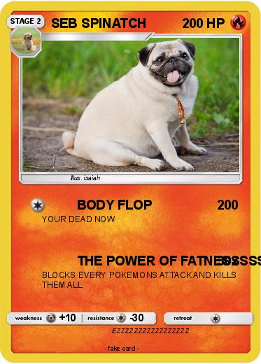 Pokemon SEB SPINATCH