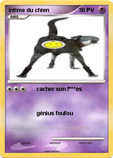 Pokemon intime du chien