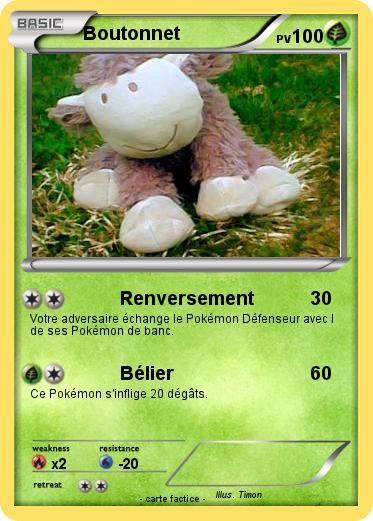 Pokemon Boutonnet