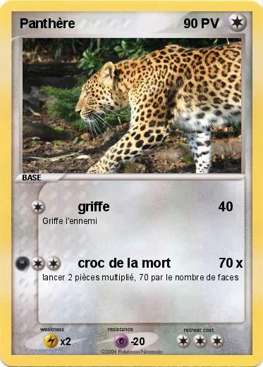 Pokemon Panthère