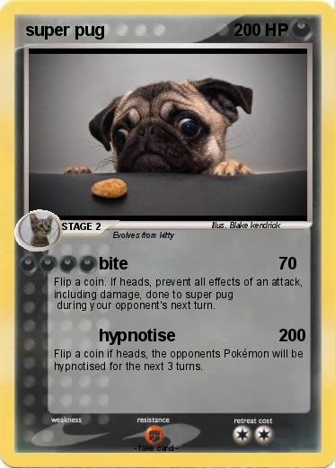 Pokemon super pug