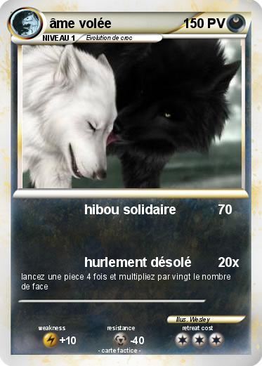 Pokemon âme volée