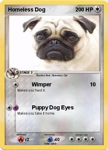 Pokemon Homeless Dog