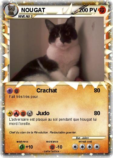 Pokemon NOUGAT