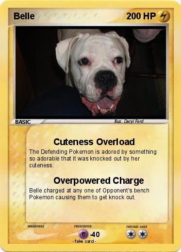 Pokemon Belle