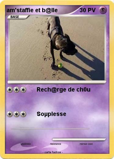 Pokemon am'staffie et b@lle