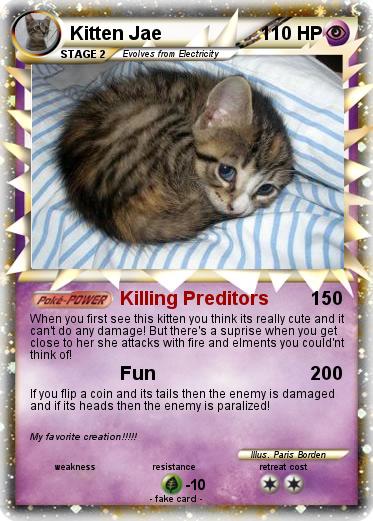 Pokemon Kitten Jae
