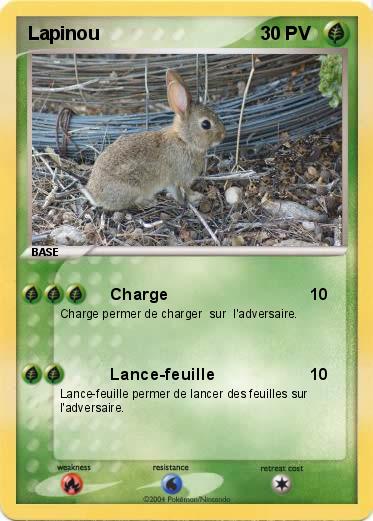 Pokemon Lapinou