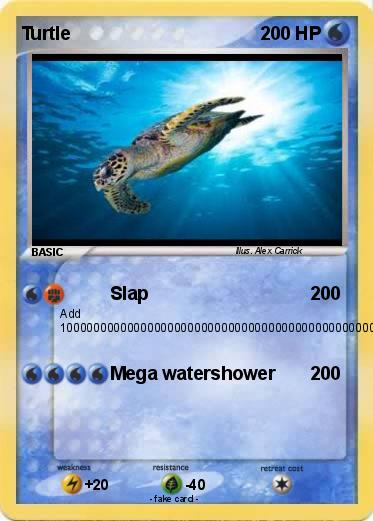 Pokemon Turtle
