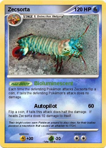 Pokemon Zecsorta