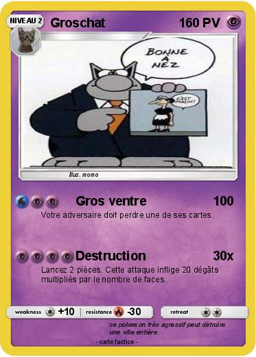 Pokemon Groschat