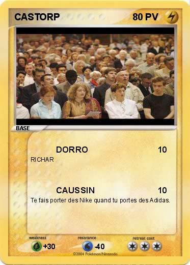 Pokemon CASTORP