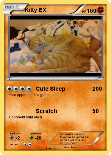 Pokemon Kitty EX
