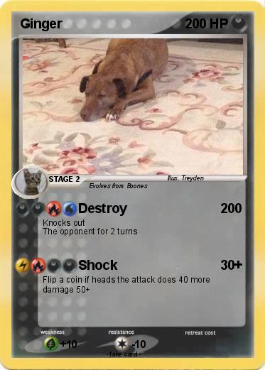 Pokemon Ginger