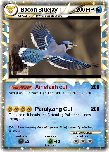 Pokemon Bacon Bluejay