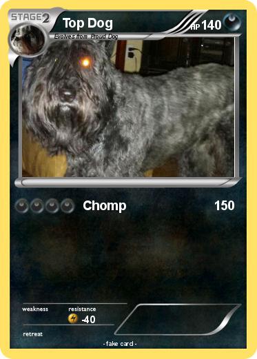 Pokemon Top Dog