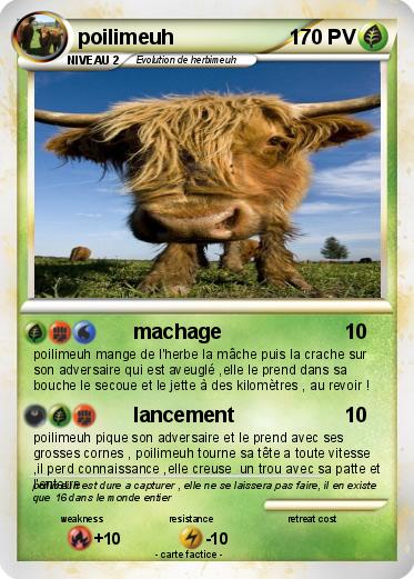 Pokemon poilimeuh