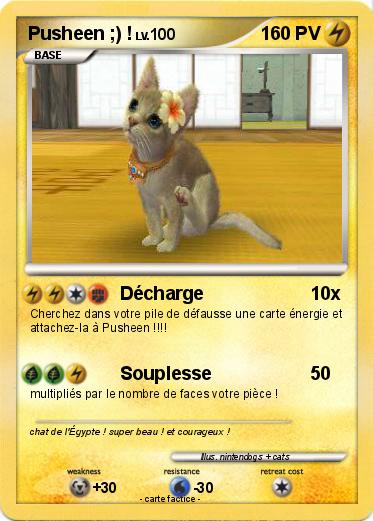 Pokemon Pusheen ;) !