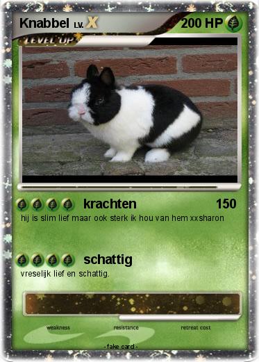 Pokemon Knabbel