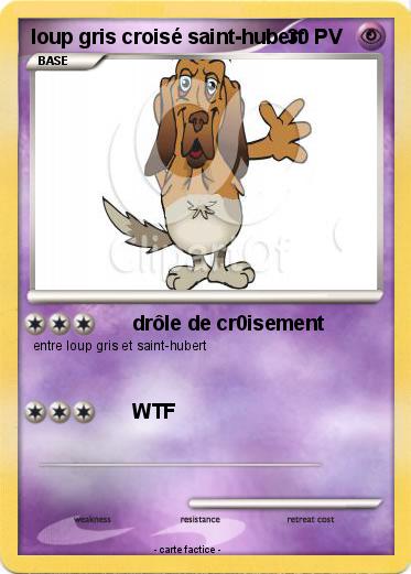 Pokemon loup gris croisé saint-hubert