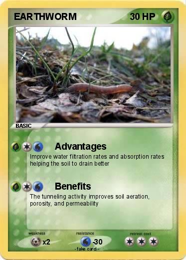 Pokemon EARTHWORM