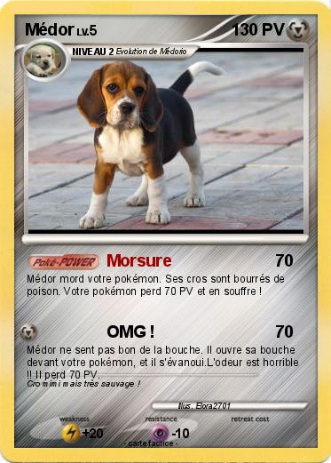 Pokemon Médor
