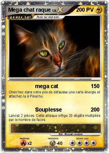 Pokemon Mega chat raque