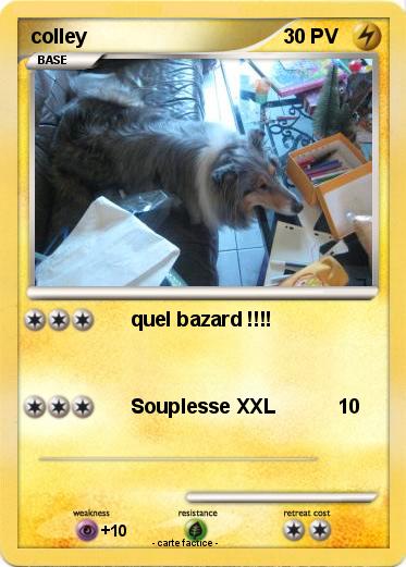 Pokemon colley