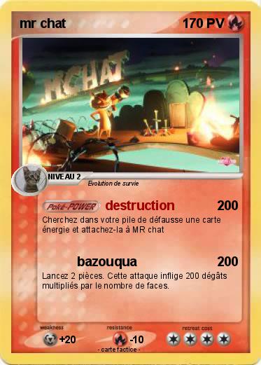 Pokemon mr chat