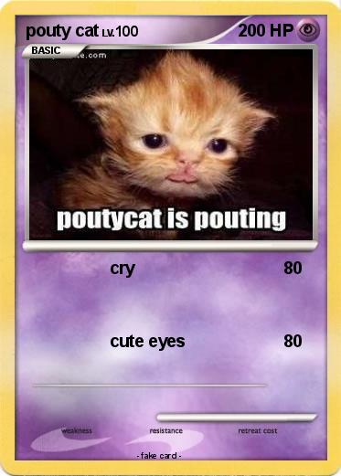 Pokemon pouty cat