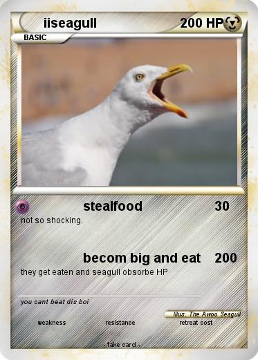 Pokemon iiseagull