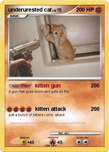 Pokemon underurested cat