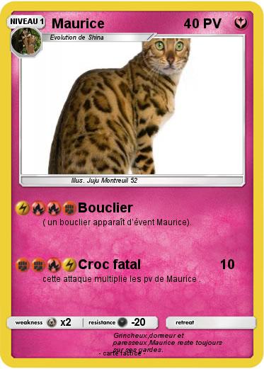Pokemon Maurice